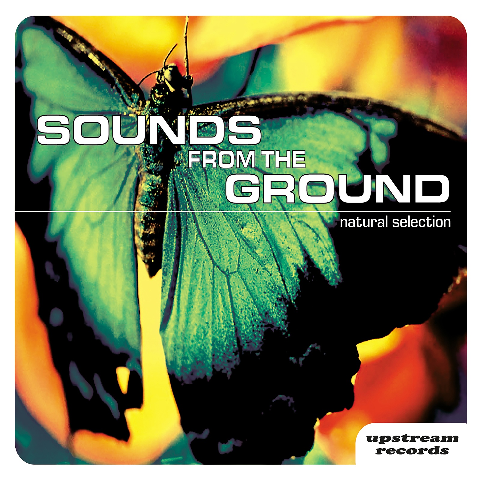 Natural Selection ~ Sounds from the Ground
